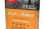 alimento seco Orijen Cat & Kitten